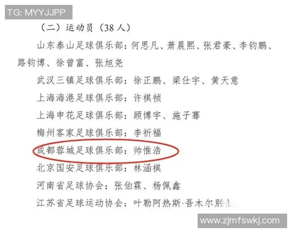 放养足球明星名单及其精彩瞬间的全景展示与分析